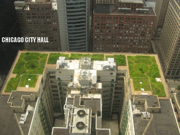 CHICAGO CITY HALL 