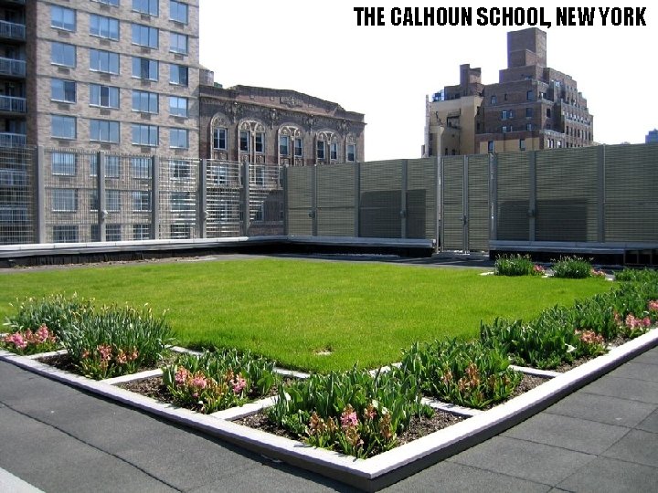 THE CALHOUN SCHOOL, NEW YORK 