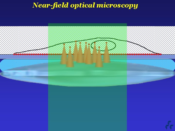 Near-field optical microscopy 