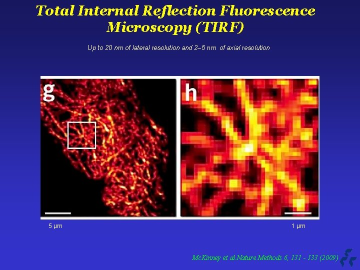 Total Internal Reflection Fluorescence Microscopy (TIRF) Up to 20 nm of lateral resolution and