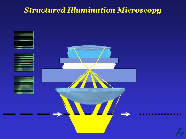 Structured Illumination Microscopy 