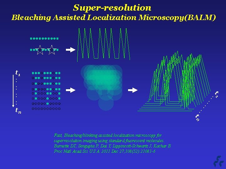 Super-resolution Bleaching Assisted Localization Microscopy(BALM) t 1 : : tn tn Fast, Bleaching/blinking assisted