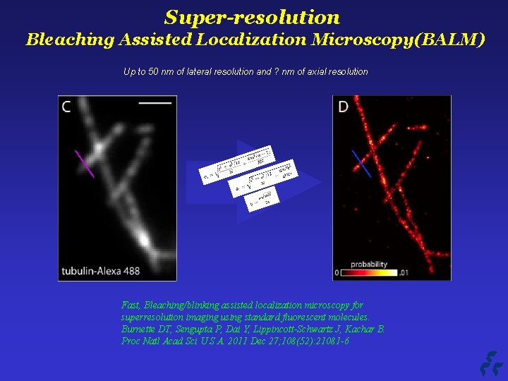 Super-resolution Bleaching Assisted Localization Microscopy(BALM) Up to 50 nm of lateral resolution and ?