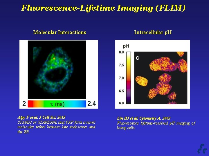 Fluorescence-Lifetime Imaging (FLIM) Molecular Interactions Alpy F et al. J Cell Sci. 2013 STARD