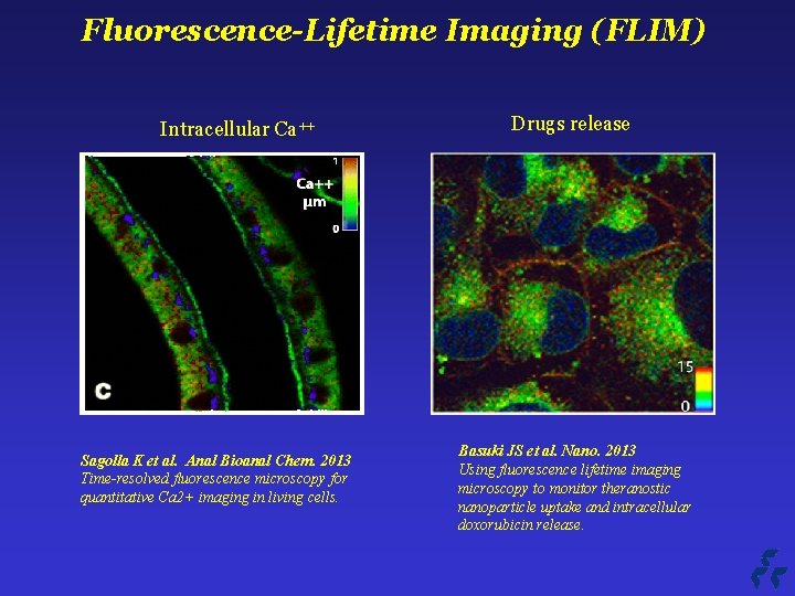 Fluorescence-Lifetime Imaging (FLIM) Intracellular Ca++ Sagolla K et al. Anal Bioanal Chem. 2013 Time-resolved