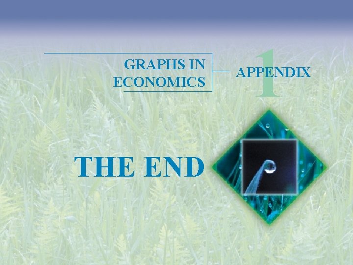 GRAPHS IN ECONOMICS THE END 1 APPENDIX 