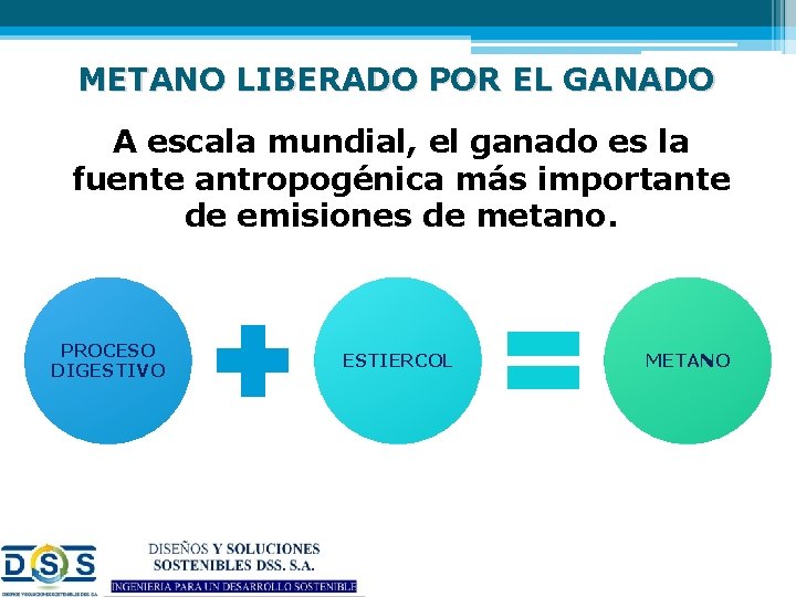 METANO LIBERADO POR EL GANADO A escala mundial, el ganado es la fuente antropogénica