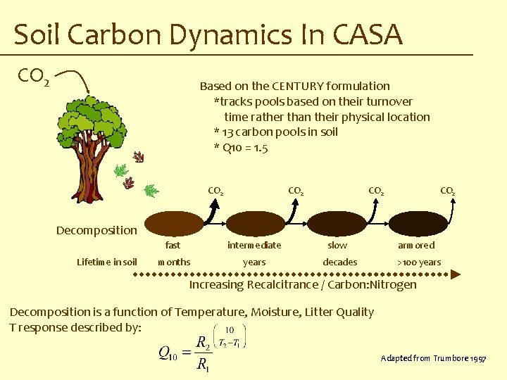 Soil Carbon Dynamics In CASA CO 2 Based on the CENTURY formulation *tracks pools