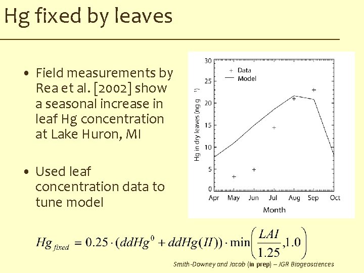 Hg fixed by leaves • Field measurements by Rea et al. [2002] show a