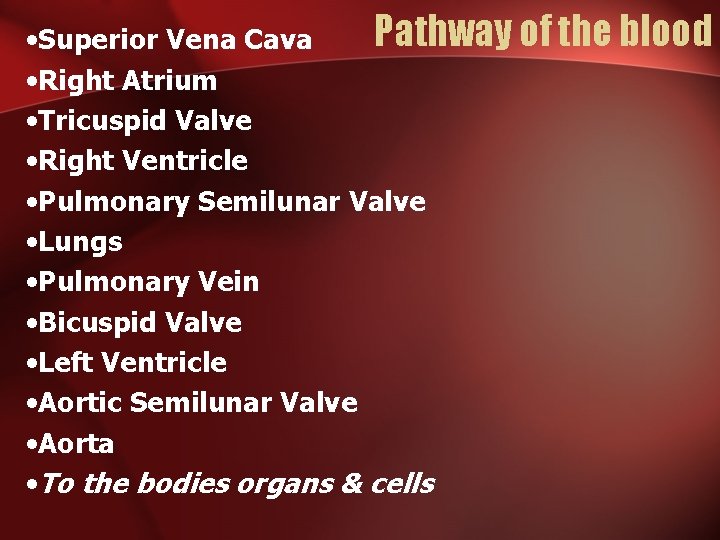 Pathway of the blood • Superior Vena Cava • Right Atrium • Tricuspid Valve Pathway of the blood • Superior Vena Cava • Right Atrium • Tricuspid Valve