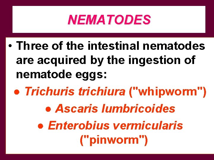 NEMATODES • Three of the intestinal nematodes are acquired by the ingestion of nematode