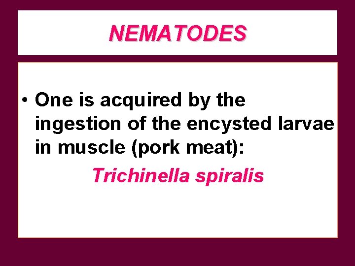 NEMATODES • One is acquired by the ingestion of the encysted larvae in muscle