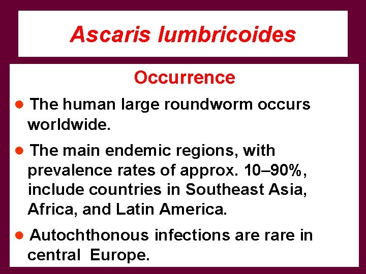 Ascaris lumbricoides Occurrence ● The human large roundworm occurs worldwide. ● The main endemic