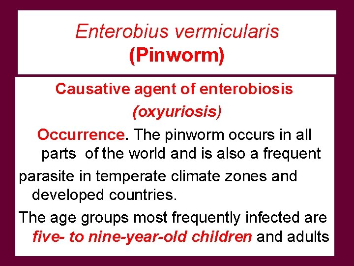 Enterobius vermicularis (Pinworm) Causative agent of enterobiosis (oxyuriosis) Occurrence. The pinworm occurs in all
