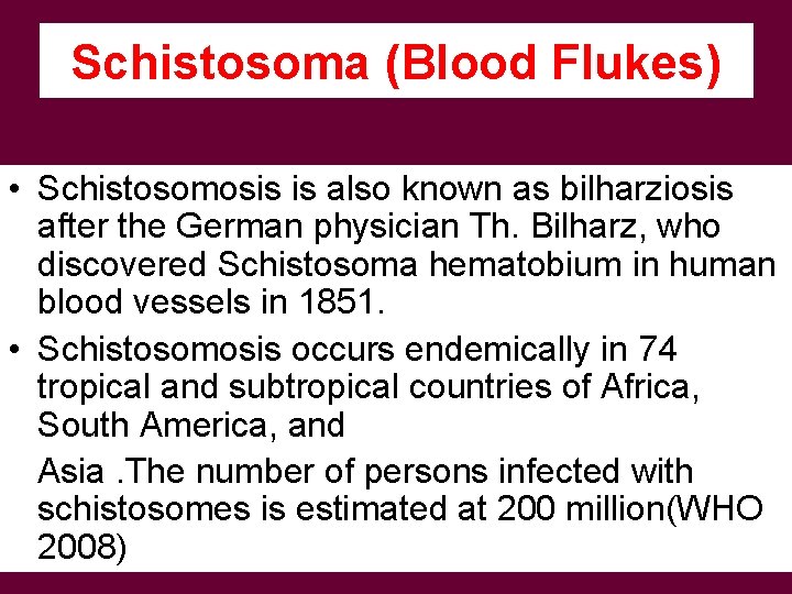 Schistosoma (Blood Flukes) • Schistosomosis is also known as bilharziosis after the German physician