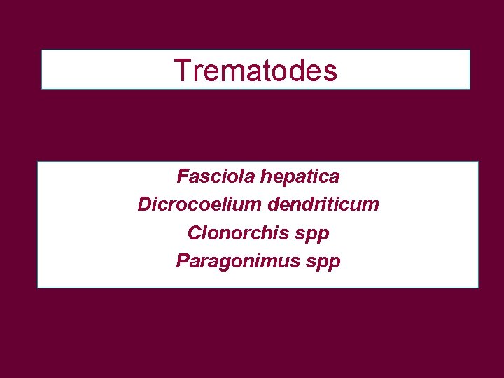 Trematodes Fasciola hepatica Dicrocoelium dendriticum Clonorchis spp Paragonimus spp 