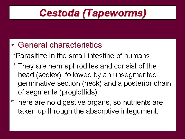 Cestoda (Tapeworms) • General characteristics *Parasitize in the small intestine of humans. * They