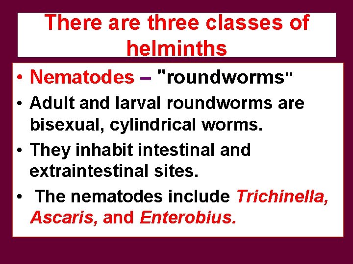 There are three classes of helminths • Nematodes – "roundworms" • Adult and larval