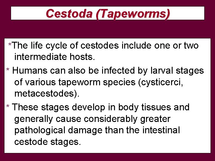 Cestoda (Tapeworms) *The life cycle of cestodes include one or two intermediate hosts. *