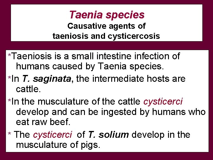 Taenia species Causative agents of taeniosis and cysticercosis *Taeniosis is a small intestine infection