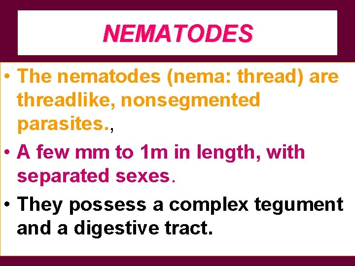 NEMATODES • The nematodes (nema: thread) are threadlike, nonsegmented parasites. , • A few