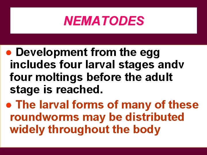 NEMATODES ● Development from the egg includes four larval stages andv four moltings before