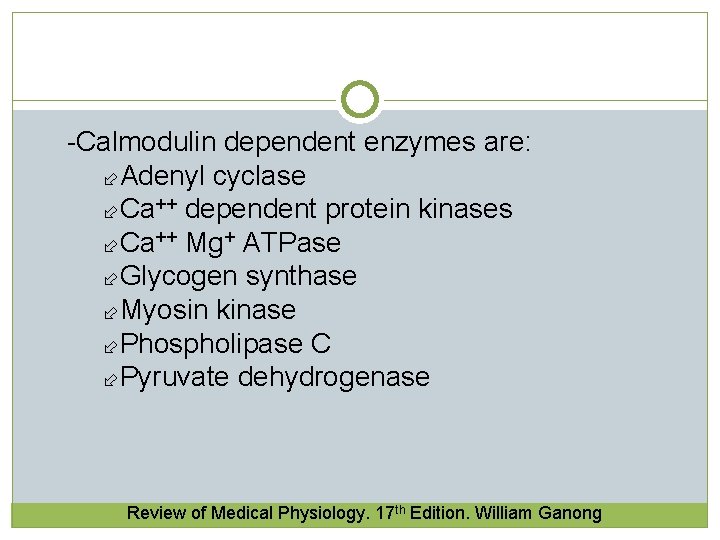 -Calmodulin dependent enzymes are: Adenyl cyclase Ca++ dependent protein kinases Ca++ Mg+ ATPase Glycogen -Calmodulin dependent enzymes are: Adenyl cyclase Ca++ dependent protein kinases Ca++ Mg+ ATPase Glycogen