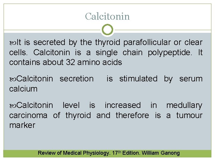 Calcitonin It is secreted by the thyroid parafollicular or clear cells. Calcitonin is a Calcitonin It is secreted by the thyroid parafollicular or clear cells. Calcitonin is a
