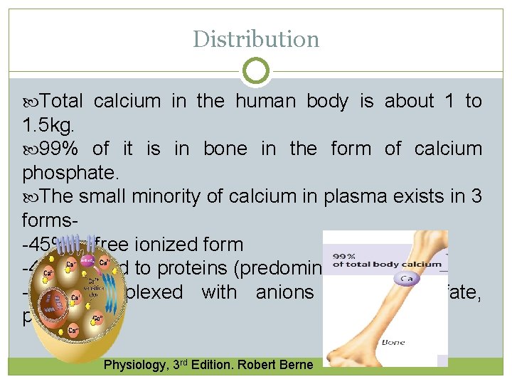 Distribution Total calcium in the human body is about 1 to 1. 5 kg. Distribution Total calcium in the human body is about 1 to 1. 5 kg.