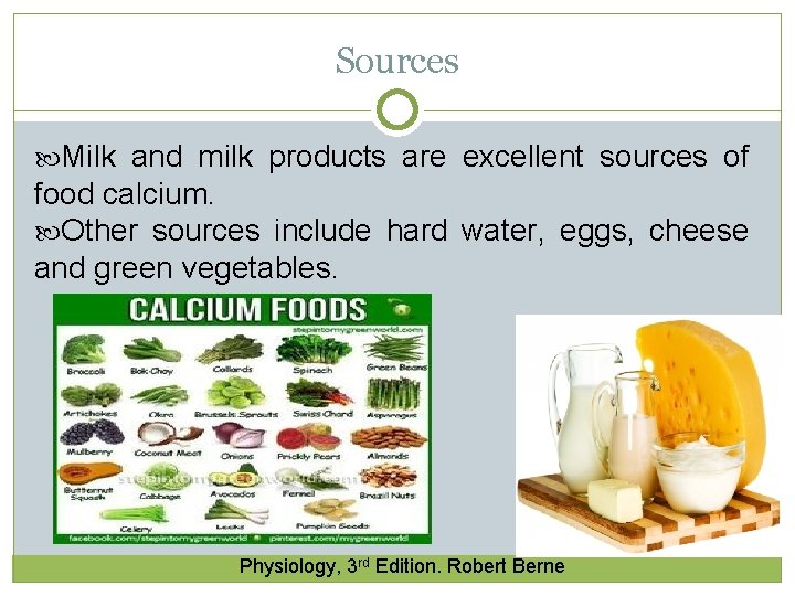 Sources Milk and milk products are excellent sources of food calcium. Other sources include Sources Milk and milk products are excellent sources of food calcium. Other sources include
