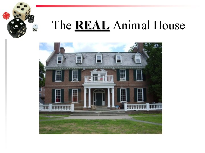 The REAL Animal House 