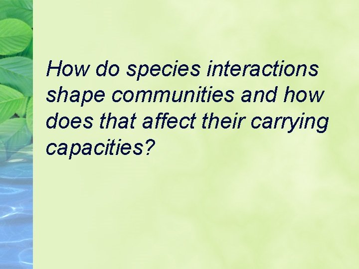 How do species interactions shape communities and how does that affect their carrying capacities?