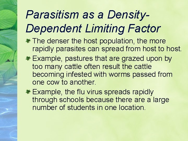 Parasitism as a Density. Dependent Limiting Factor The denser the host population, the more