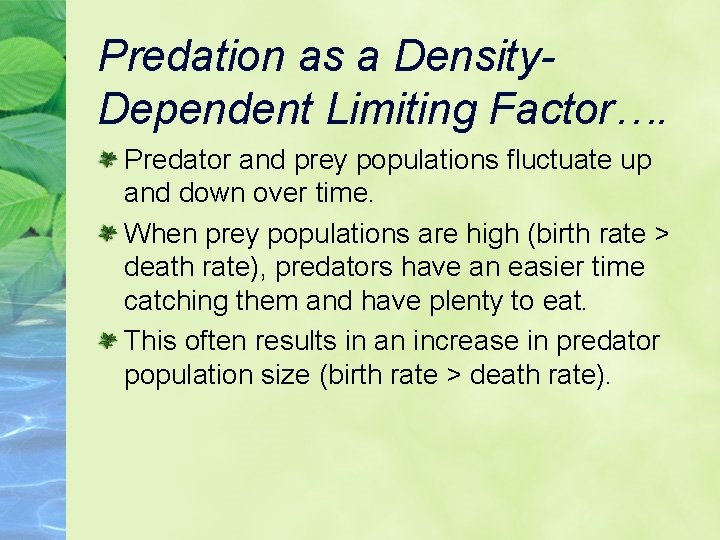 Predation as a Density. Dependent Limiting Factor…. Predator and prey populations fluctuate up and