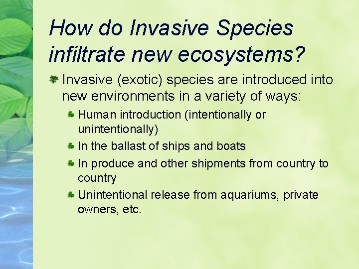 How do Invasive Species infiltrate new ecosystems? Invasive (exotic) species are introduced into new