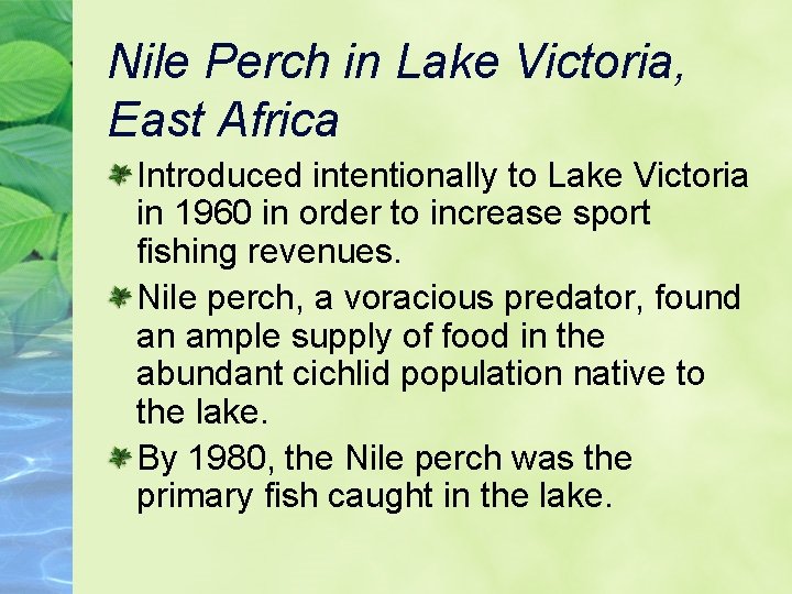 Nile Perch in Lake Victoria, East Africa Introduced intentionally to Lake Victoria in 1960