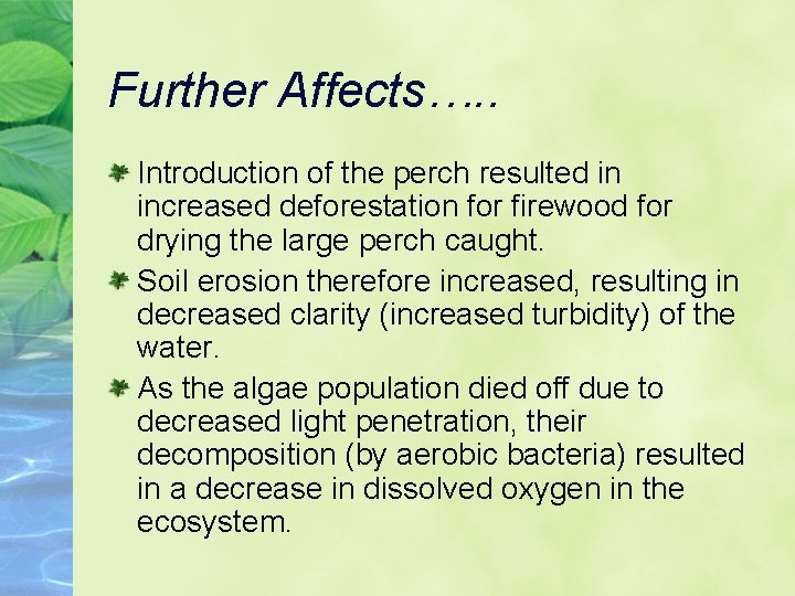 Further Affects…. . Introduction of the perch resulted in increased deforestation for firewood for