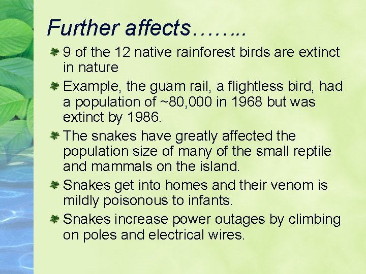 Further affects……. . 9 of the 12 native rainforest birds are extinct in nature