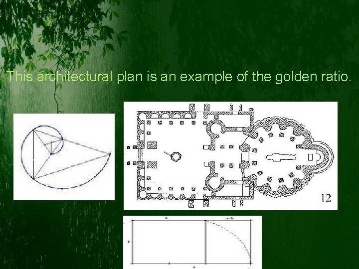 This architectural plan is an example of the golden ratio. 