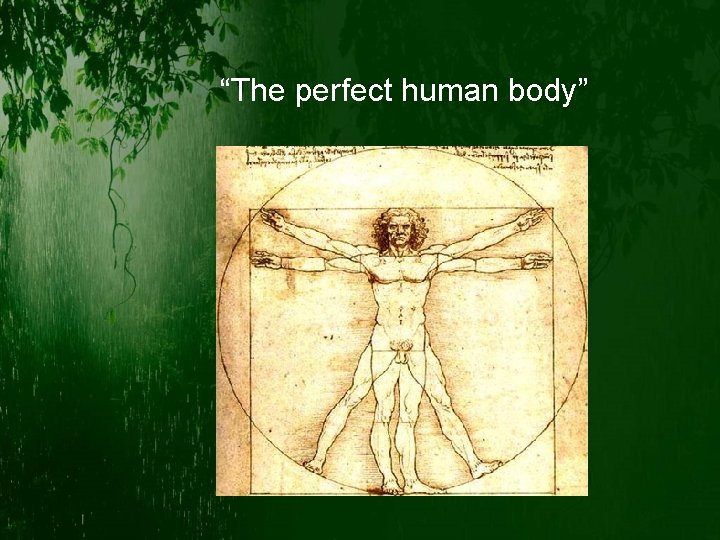 “The perfect human body” 