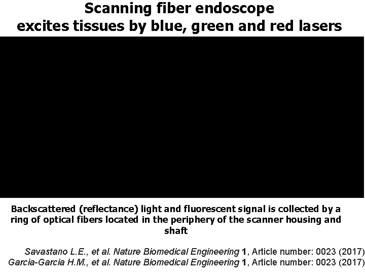 Scanning fiber endoscope excites tissues by blue, green and red lasers Backscattered (reflectance) light