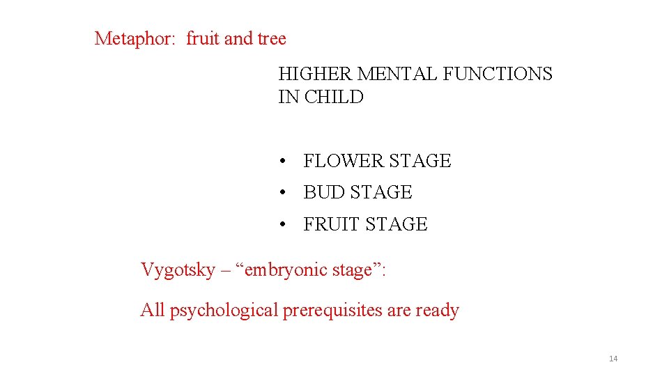 Metaphor: fruit and tree HIGHER MENTAL FUNCTIONS IN CHILD • FLOWER STAGE • BUD