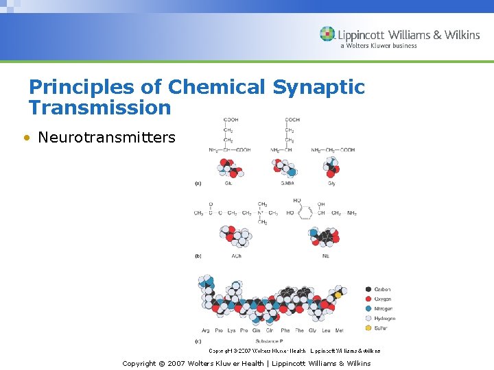 Principles of Chemical Synaptic Transmission • Neurotransmitters Copyright © 2007 Wolters Kluwer Health |