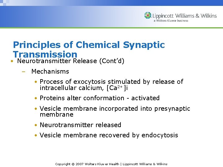 Principles of Chemical Synaptic Transmission • Neurotransmitter Release (Cont’d) – Mechanisms • Process of