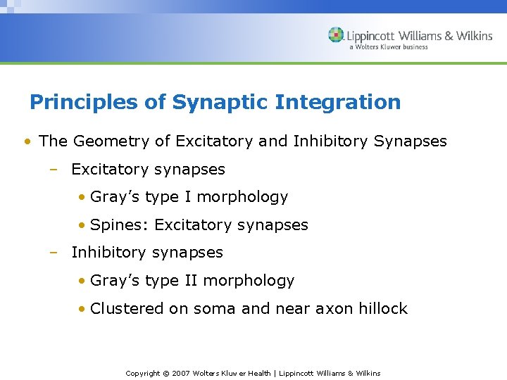 Principles of Synaptic Integration • The Geometry of Excitatory and Inhibitory Synapses – Excitatory