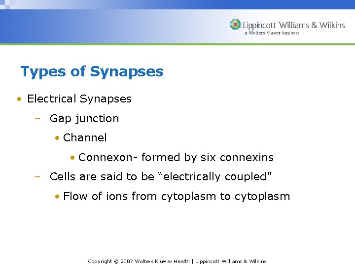 Types of Synapses • Electrical Synapses – Gap junction • Channel • Connexon- formed