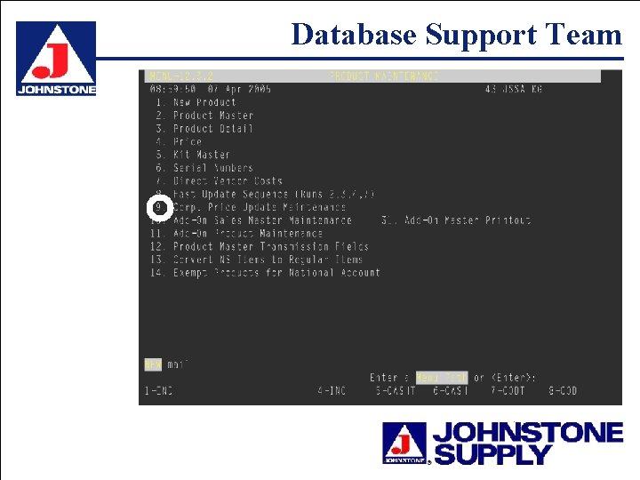 Database Support Team 