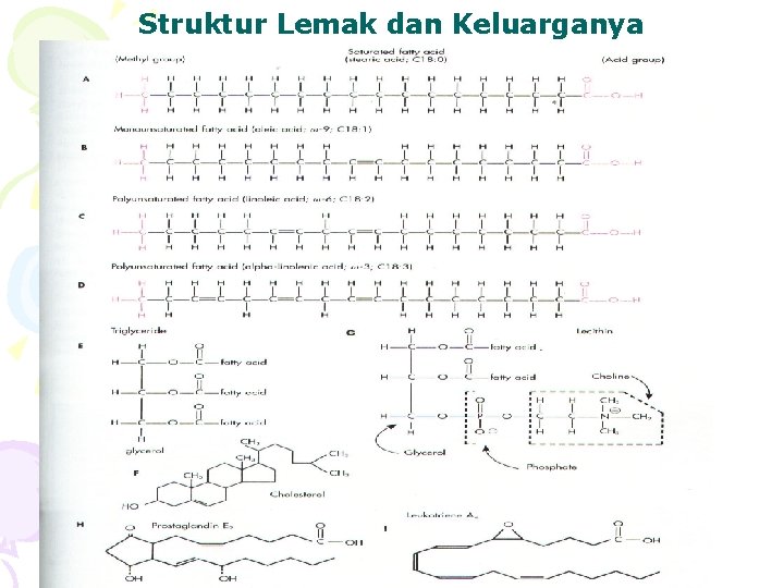 Struktur Lemak dan Keluarganya 