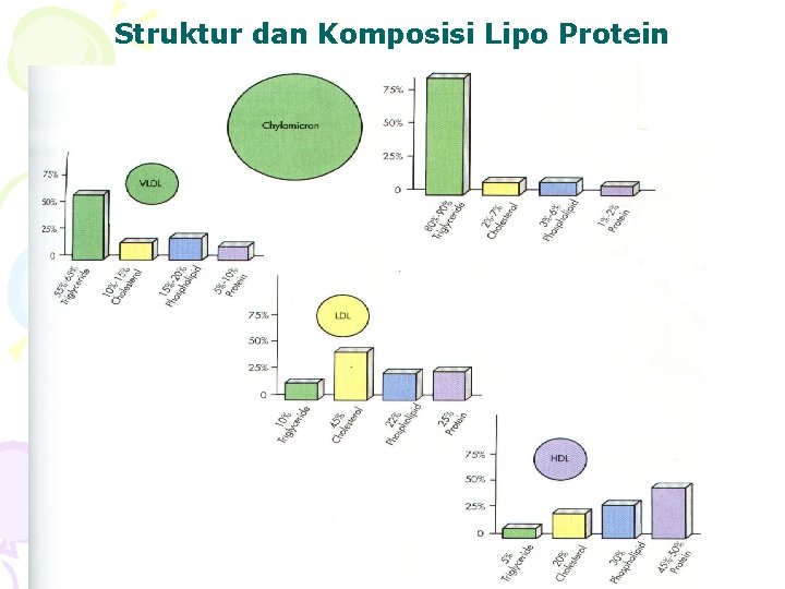 Struktur dan Komposisi Lipo Protein 