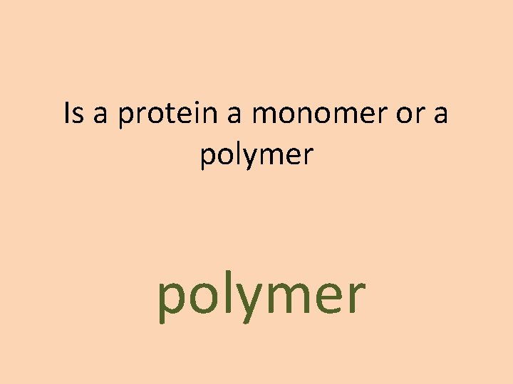 Is a protein a monomer or a polymer 